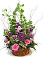 Lavendar & Pink Persuasion