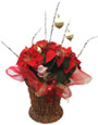 Golden Poinsettia