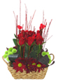 Basket Of Love