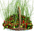 Red Garden