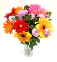 Bursts Of Color