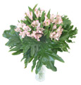 Alstromeria Bouquet