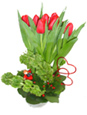 Delicate Red