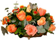 Orange Bloom