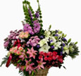 Spring Delight