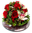 Love In Bloom