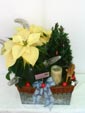 White X-mas Wishes
