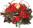 X-mas Spider