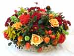 Colorful & Cheerful