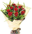 Red Dozen