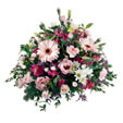 Pastel Blooms