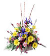 Best Wishes
