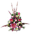 Abundence Of Beauty