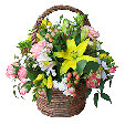 Happy Blooming
