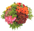 Cheerful mix