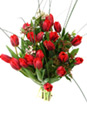 Fragile Red