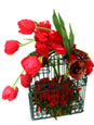 Love Nest